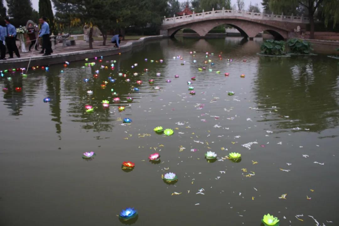 1645071426133799.jpg 1645071426133799.jpg