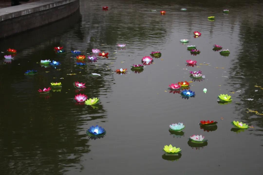 1645071426142169.jpg 1645071426142169.jpg