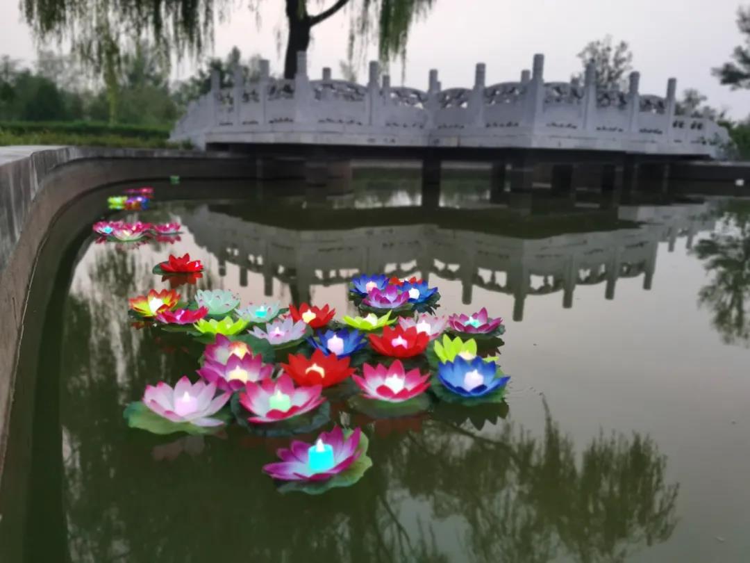 1645071426390274.jpg 1645071426390274.jpg