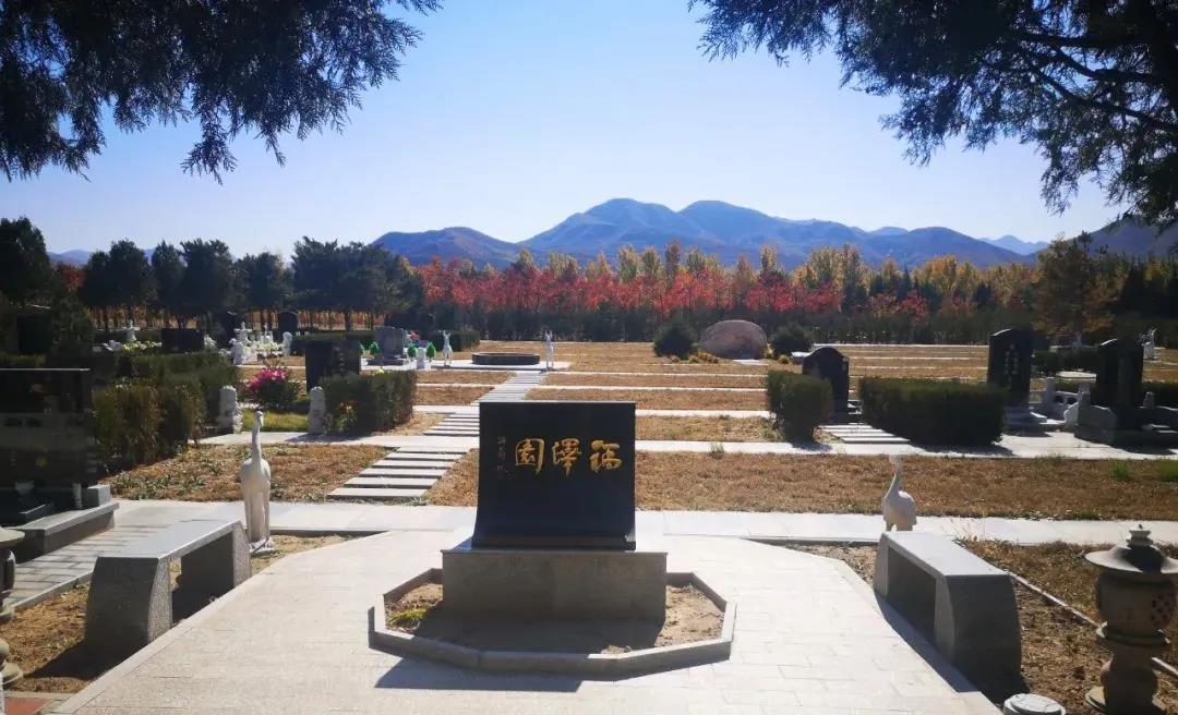 1645095027765578.jpg 1645095027765578.jpg