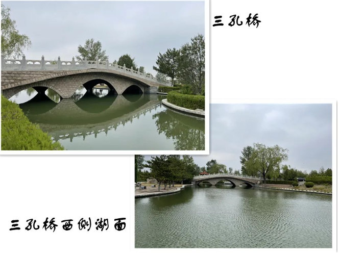 1724312551142983.png image.png