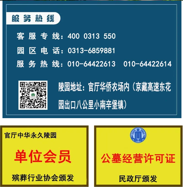 1724312663231288.png 1724312652482.png