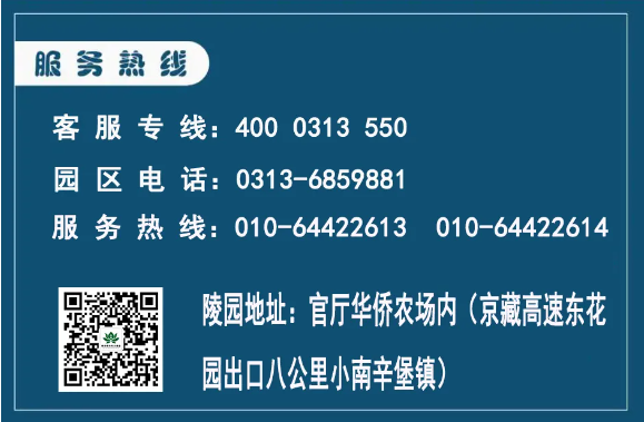 1734915811860686.png image.png